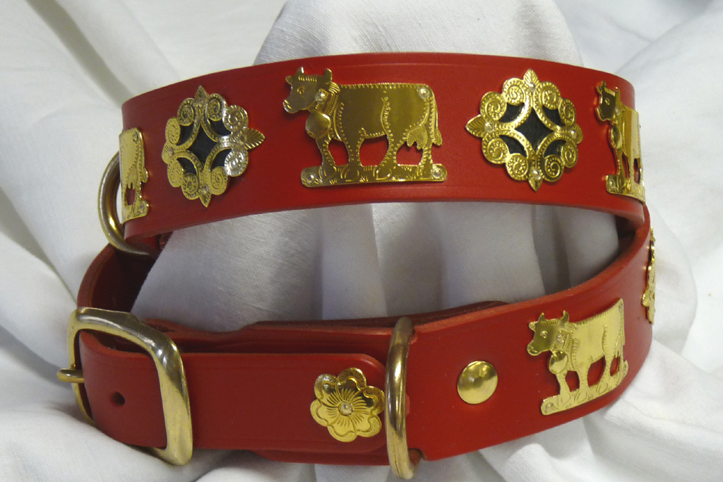 Hundehalsband Appenzeller rot