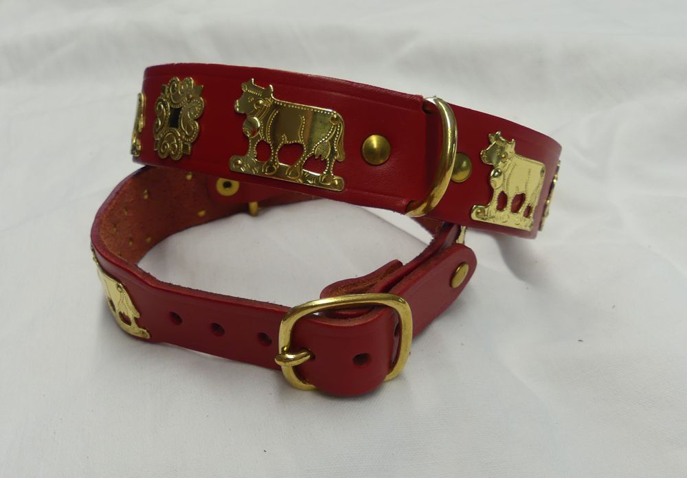 Hundehalsband Appenzeller Leder